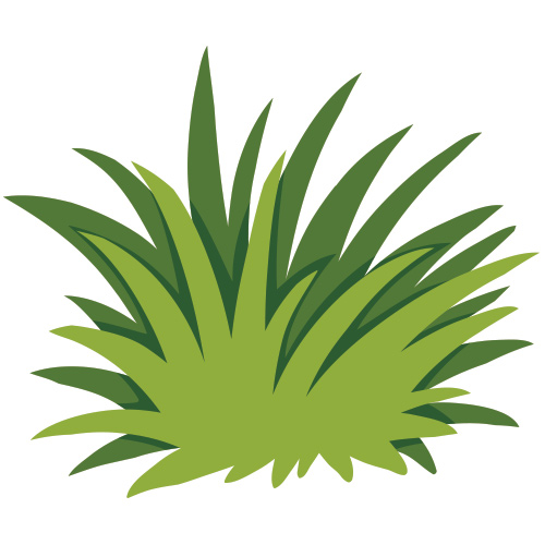 Grass