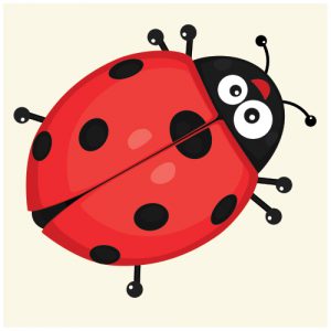 Bug