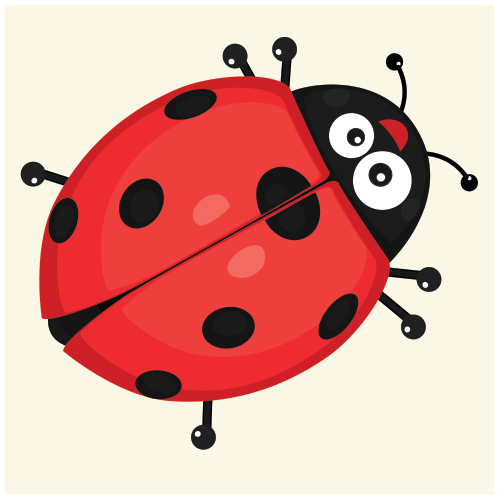 Bug