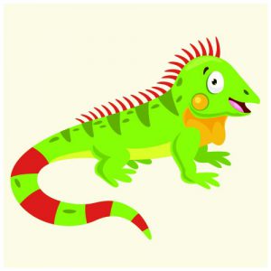 Lizard