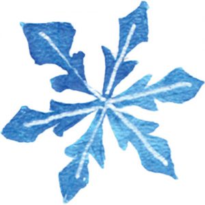 Snowflake 2 snowflake