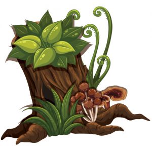 Tree Stump