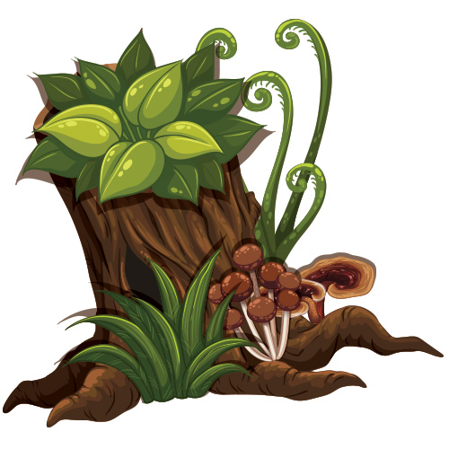 Tree Stump