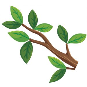 Tree Branch