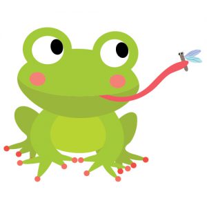 Frog eating a fly
