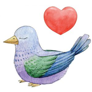 Lovebird