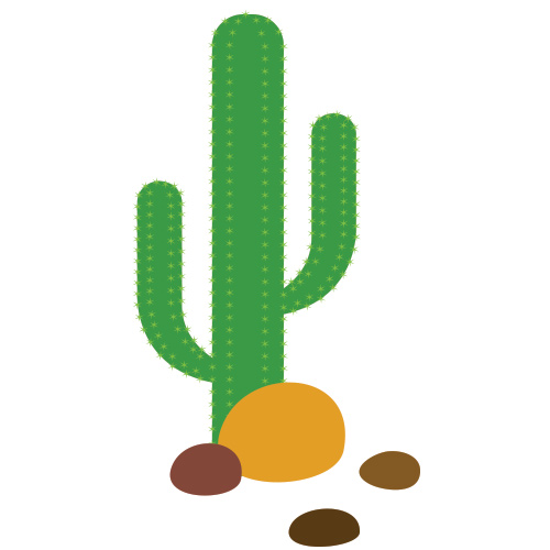 Cactus and rocks