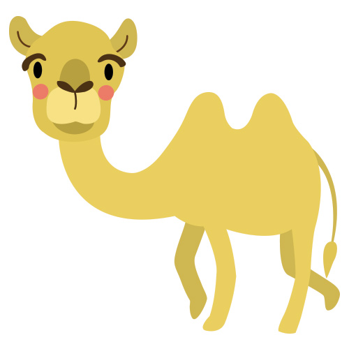 Camel