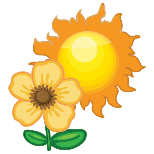 Flower and Sun