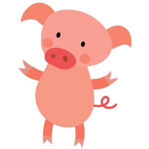 Pink Pig