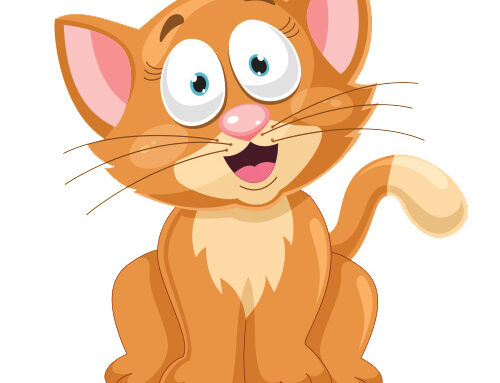 Negative Cat
