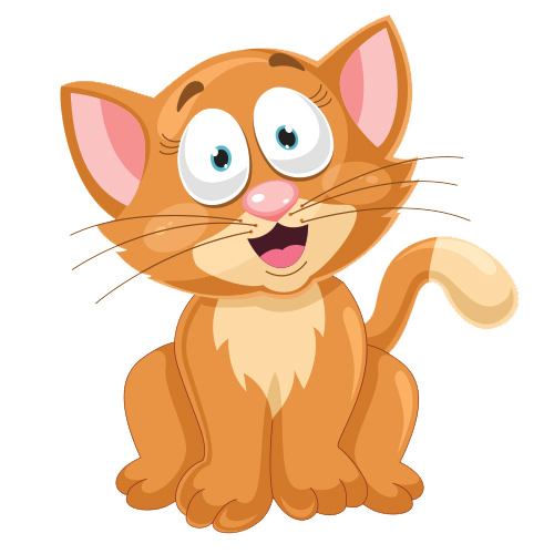 Yellow cat