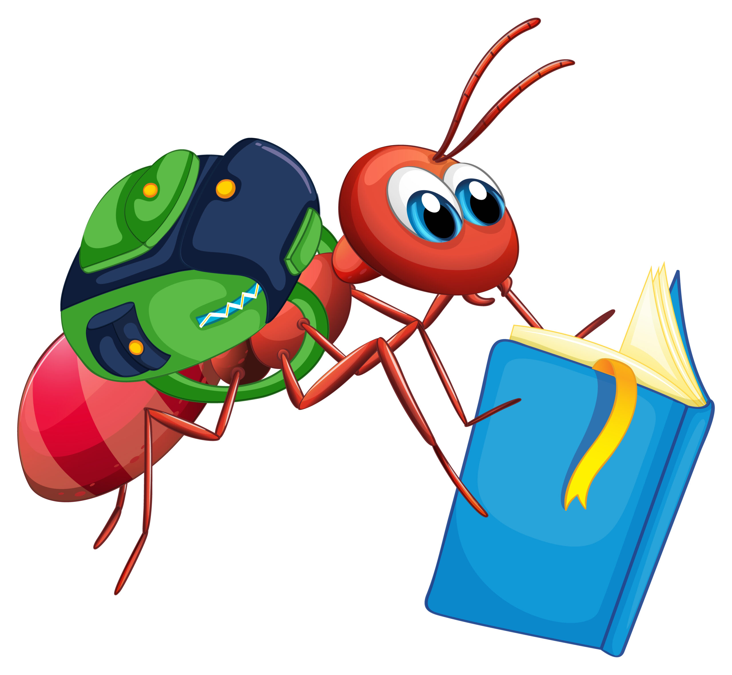 Dung Bettle