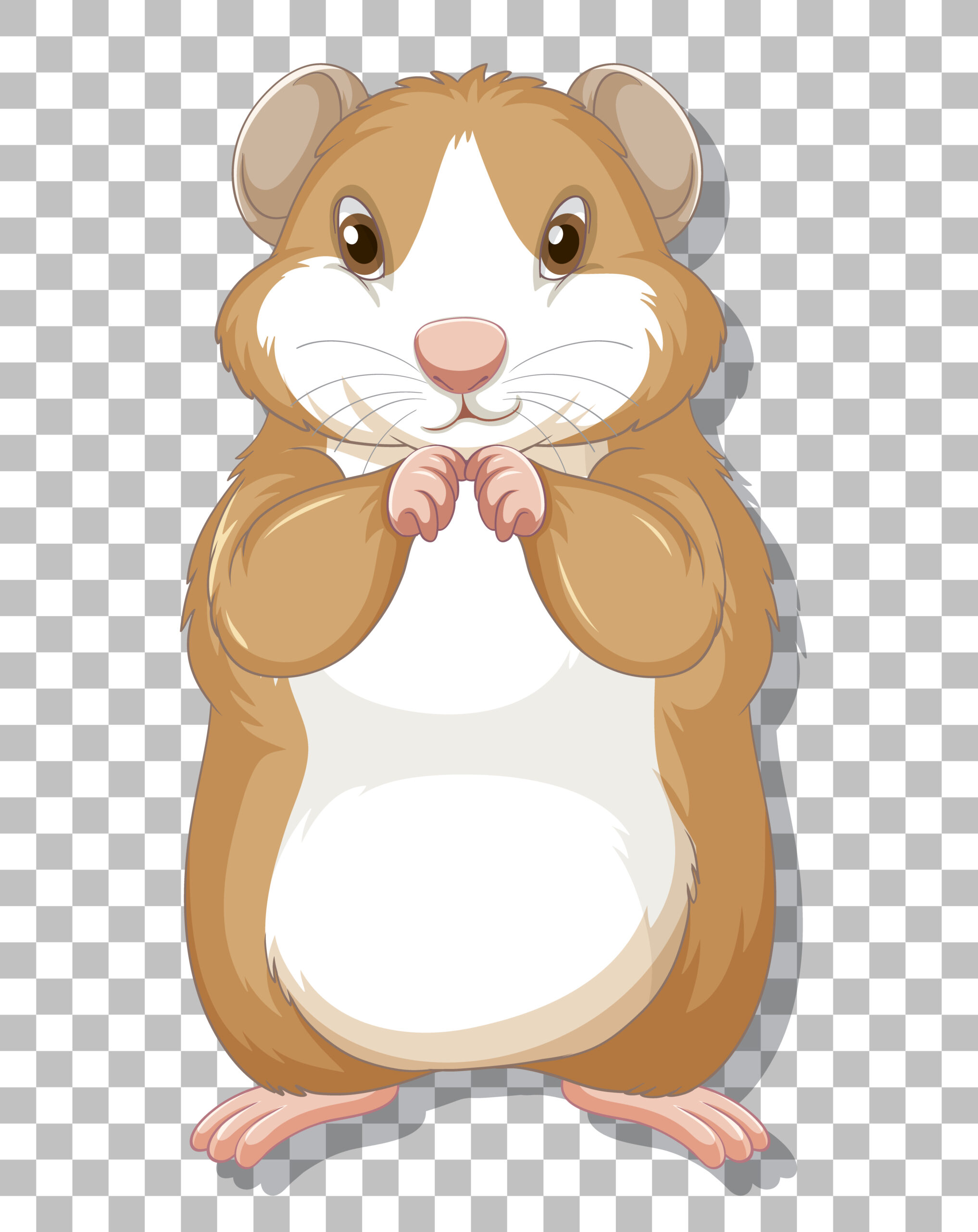 Hamster